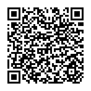 QR Code for Old China's New Economy