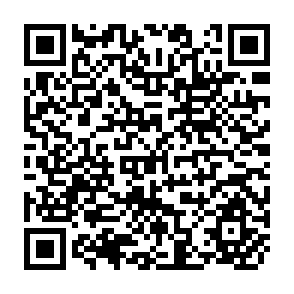QR Code for The Intelligent Person's Guide to Good Governance