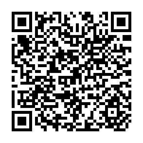 QR Code for Assessment of the Requirements of High Yieldings Seeds and the Development of the Seed Industry