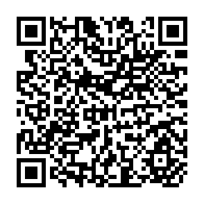 QR Code for An Aspect of the Monetary Policy of British Imperialism
