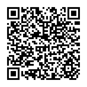 QR Code for The Dilemma of Need - Based Minimum Wages