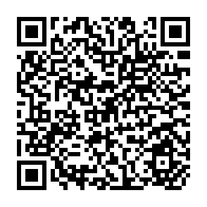 QR Code for Utilization Focused Evaluation A Primer for Evaluators