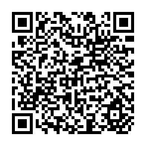 QR Code for India Emerging The Reality Checks