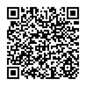 QR Code for Reseach on Agricultural Development in Brazil