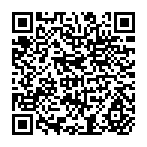 QR Code for Reseach on Agricultural Development in Brazil