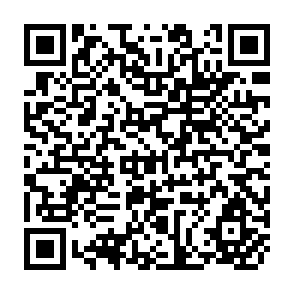 QR Code for Progress and problems in the development of agriculture in Pakistan