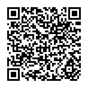 QR Code for You may Say I'm a Dreamer