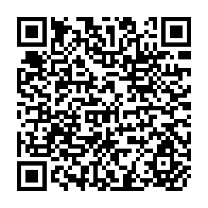 QR Code for Pepper Statistical Year Book 2013