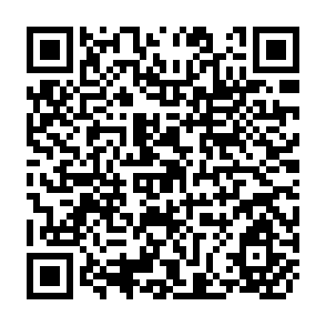 QR Code for Nutrition and Working Efficiency