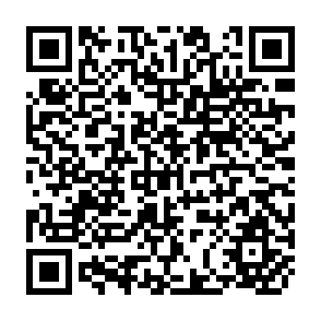 QR Code for Research on Agricultural Development in North Africa