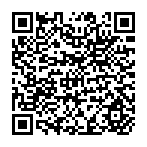 QR Code for The economics of agricultural development