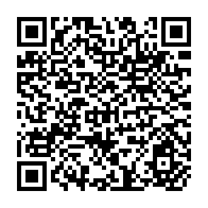 QR Code for Agrian reform,Employment and rural incomes in japan