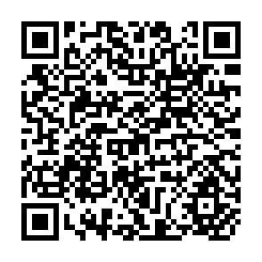 QR Code for Development Economics