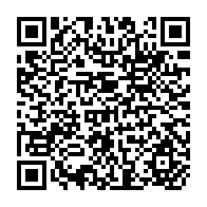 QR Code for Agarian problems and peasant movements in Latin America