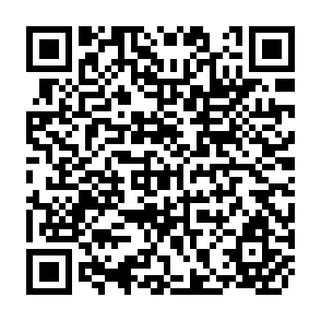 QR Code for Some Issues in the Evolution, Oraganization and Operation of Group Ranches in Kenya