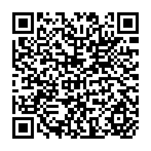 QR Code for Some Issues in the Evolution, Oraganization and Operation of Group Ranches in Kenya