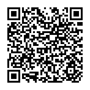 QR Code for Land','Tenure' and Land-Tenure