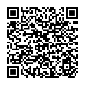 QR Code for The Challenge of World Poverty- A World and Anti-poverty Program in Outline