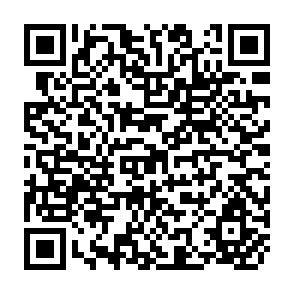 QR Code for Evolution and Revolution