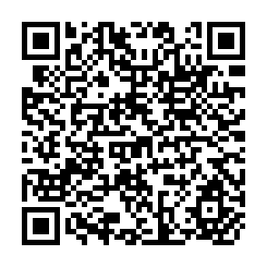 QR Code for The Political Element in the Development of Economic Theory