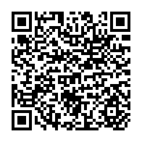 QR Code for FAO Commodity Review and Outlook
