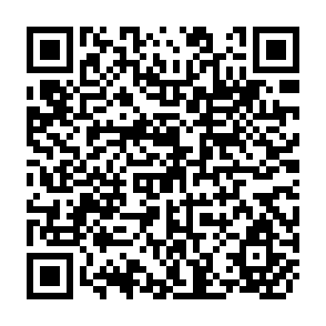 QR Code for Cinchona a select bibliography
