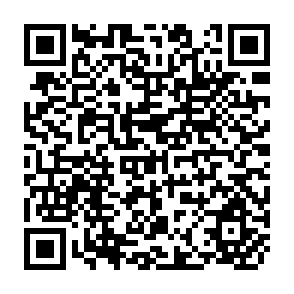 QR Code for Land Use and the Constitution of Property