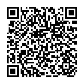 QR Code for Village Japan