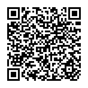 QR Code for The Need for Theory Probability Discrete Distribution