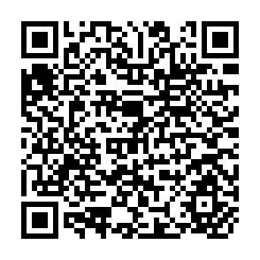 QR Code for Food AID: Disincentive Effects and Their Policy Implications