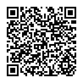QR Code for World Grain Trade Statistics