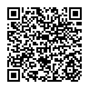 QR Code for World Grain Trade Statistics
