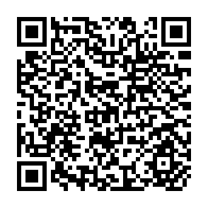 QR Code for The Earth's Crust