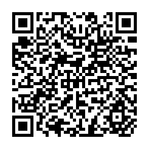 QR Code for From Peasant to Farmer