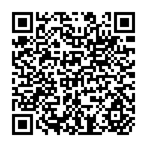 QR Code for Studies on the Strategy and Technique of Development Planning
