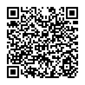 QR Code for Report from a Chinese Vilage