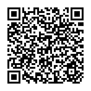 QR Code for Profiles of National Development - A Collection of Fetures on the Social and Economics Conditions in Some Countries of South Asia and the Pacific