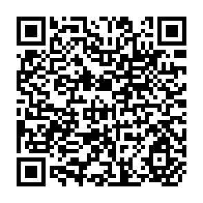 QR Code for Estudios de la realidad campesina cooperaction y cambio
