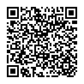 QR Code for A Management Inventory  of the Kanneliya-Nakiyadeniya Dediyagala Forest Area,Ceylon