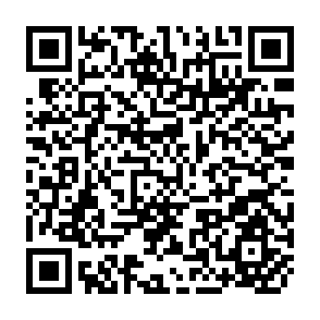 QR Code for A Management Inventory  of the Morapitiya-Runakanda-Delgoda Forest Area,Ceylon
