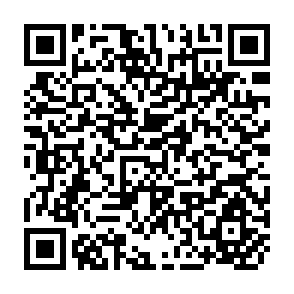 QR Code for A Forest Inventory of the Madhu Forest Area, Ceylon