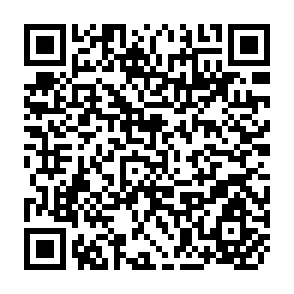 QR Code for A Forest Inventory of the Madhu Forest Area, Ceylon