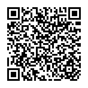 QR Code for A Forest Inventory of the Madhu Forest Area, Ceylon