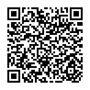 QR Code for A Forest Inventory of the Teravil-Oddusuddan Forest Reserve, Ceylon