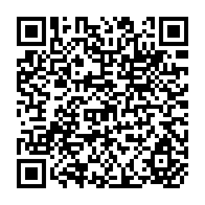 QR Code for Value and Price in the Labour-Surplus Economy