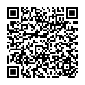 QR Code for Rice Economy of the Philippines