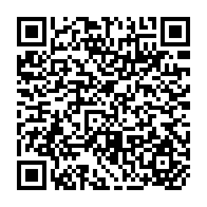 QR Code for Rice Economy of the Philippines