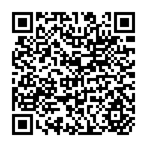 QR Code for Leading Issues Economic Development Studies in International Poverty