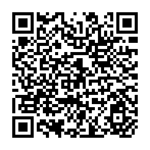 QR Code for Marxist Economic Theory