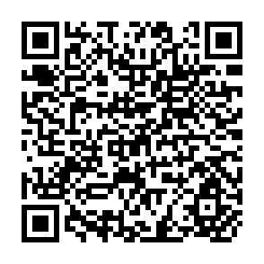 QR Code for People Planning and Development Studies- Some Reflections on Social Planning